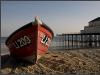 The Fishing Fleet